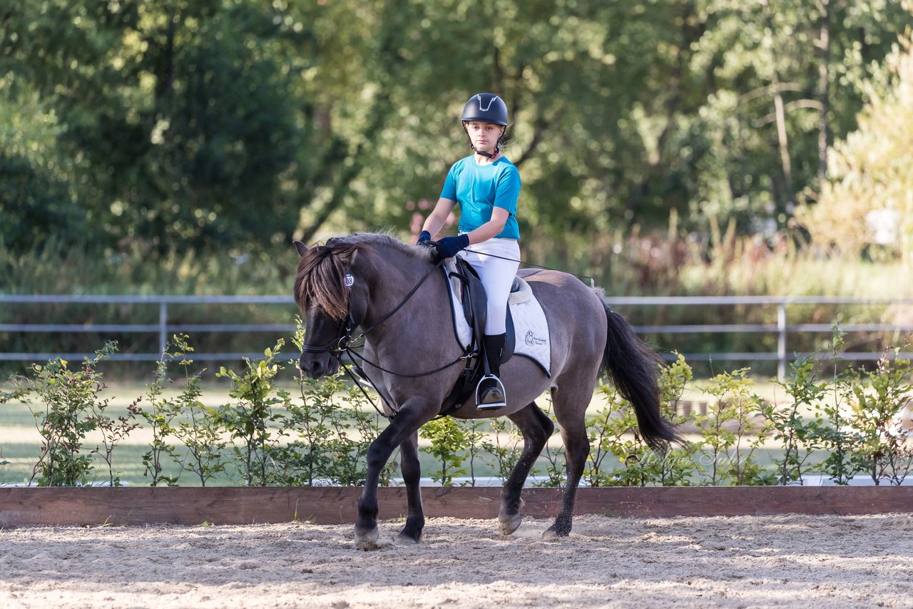 Bild 18 - Pony Akademie Turnier